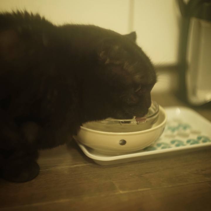 516d4c6d 531e 4919 9097 d2730f20d1eb 1523715999783