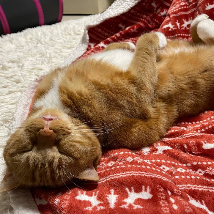 516d4e77 fe67 42ec 8503 4b53fbbe58f7 1618663084775