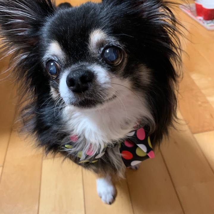 516d5d98 911d 4053 8a4e 68962398e539 1563023034158