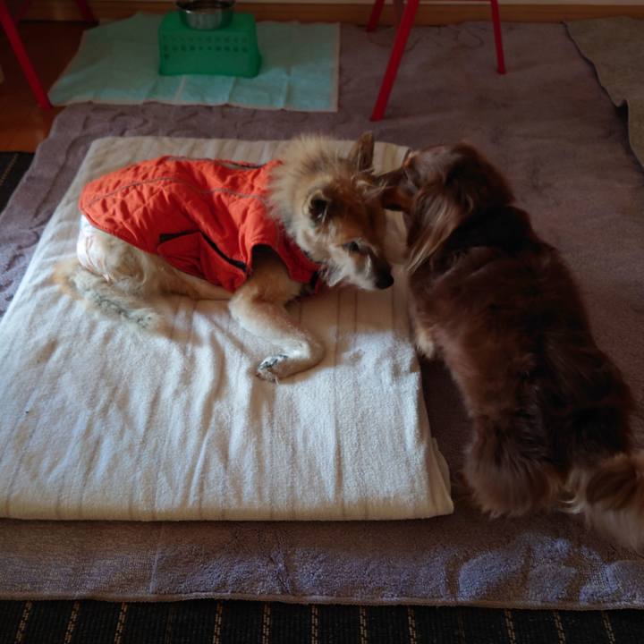 516d958e c885 47ad b5a7 fdd1f5d12e82 1638313484660