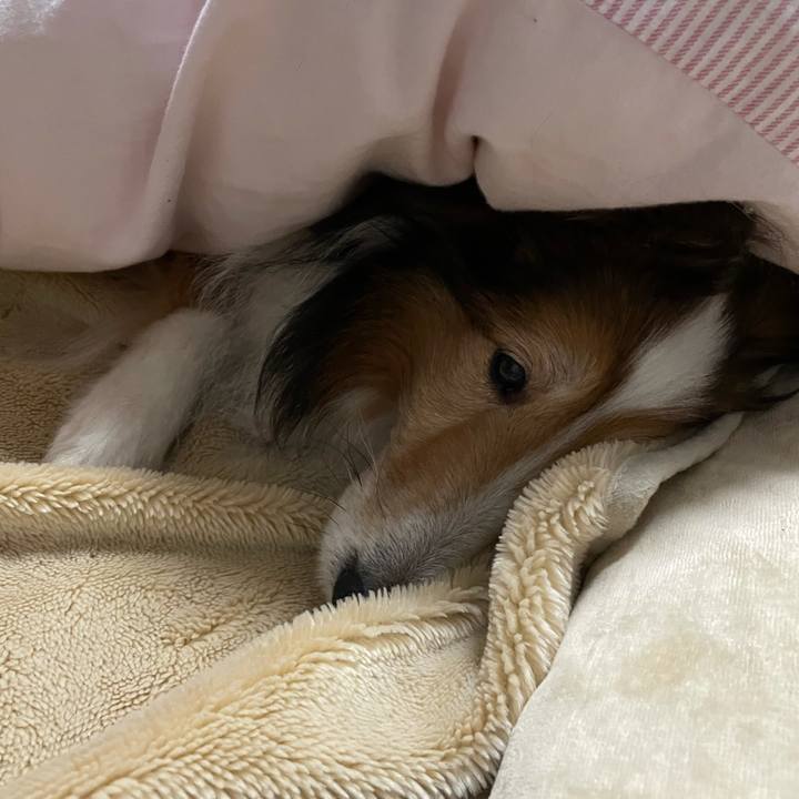 516d9851 0308 44a0 aee2 4d360c0b9e15 1613301508598