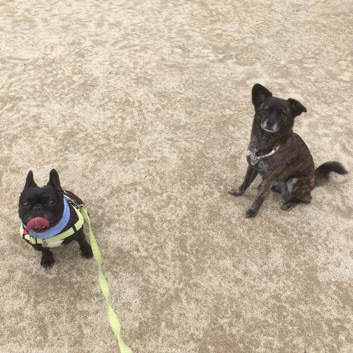 516da775 5e6d 4176 80e6 47ca0bf628aa 1528557543214