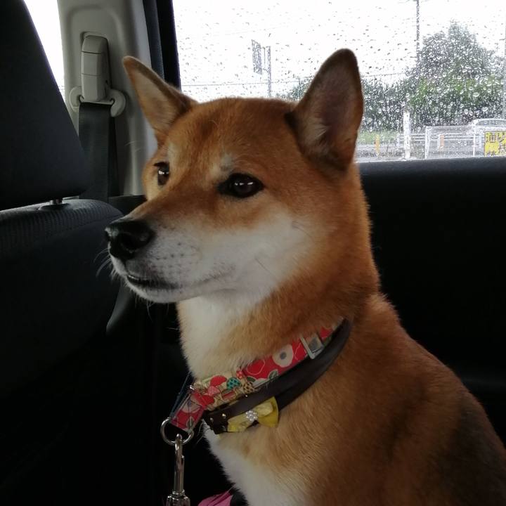 516dd9cf 0912 4cac 8628 23dde575d70b 1602326048797