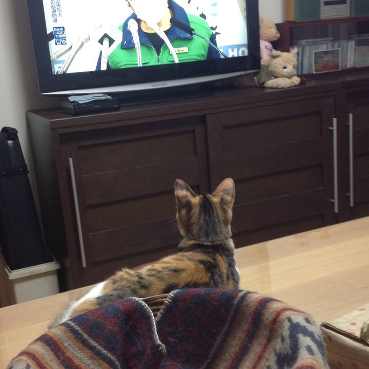 516df08f ed48 40a9 8713 281db9c756d5 1630055921179