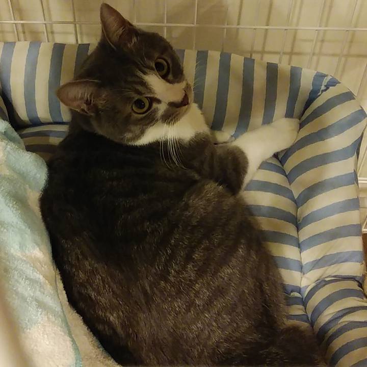 516e1938 1168 4df2 a2b9 0eba9054cd13 1585843133581