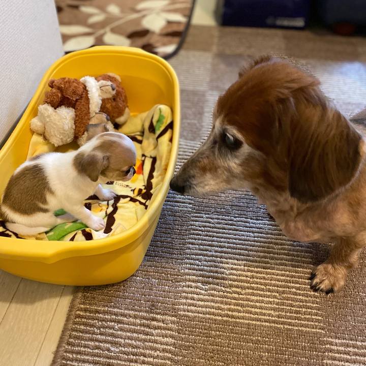 516e1cb0 ab6f 41ab ac03 72ac544cd38b 1758605827681