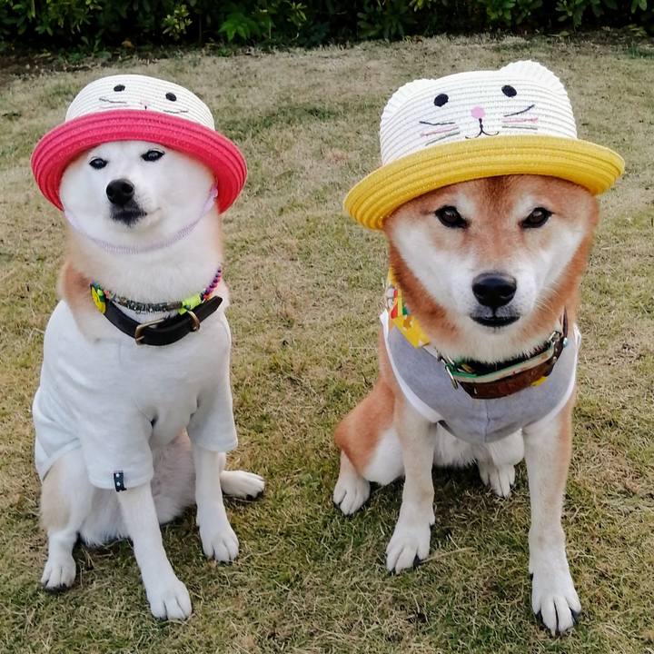 516e1e96 77a7 4db3 855f c6f41f282b1a 1635980188640