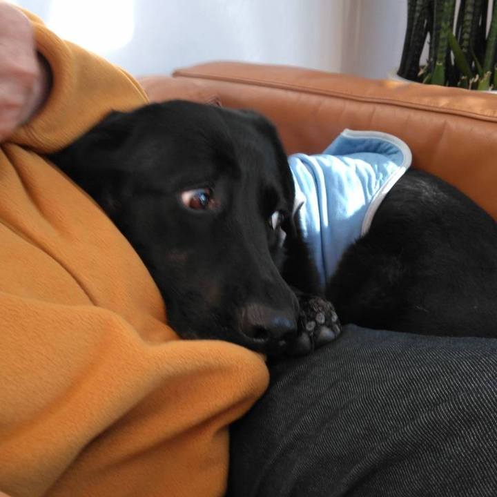 516e33e8 96e1 497c aaee aa15fa4ae6f1 1577262594827