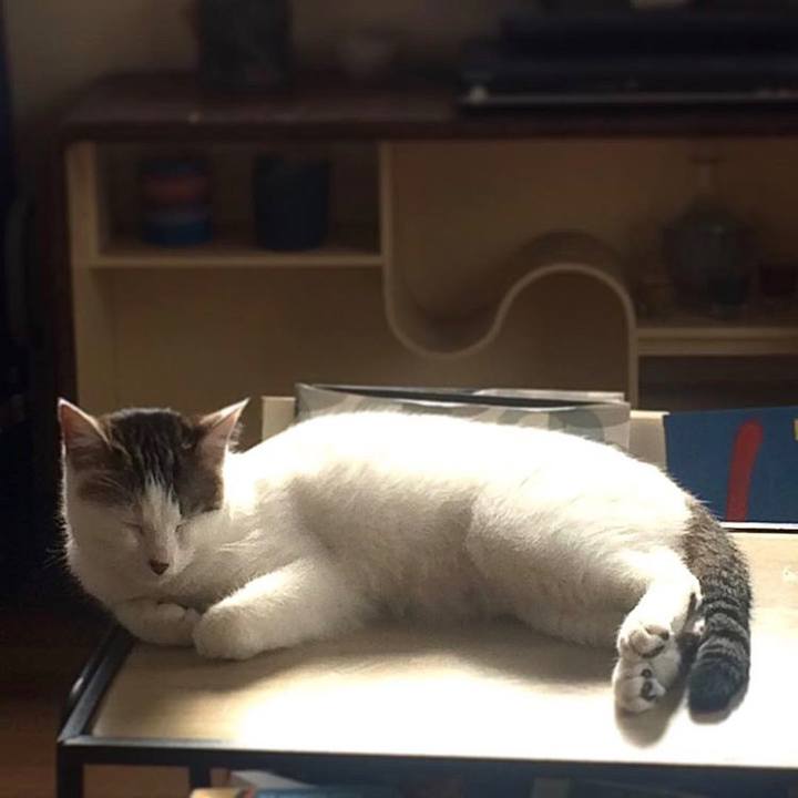 516e9350 235f 46e0 af52 4aceb4caf704 1520223731124