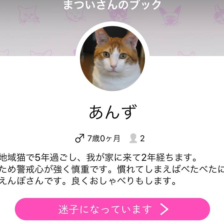 516eb4fd fb3f 43e5 9d38 5bce05ada396 1510921537181