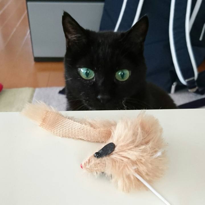 516eefa7 cc8b 4681 91bd 34b33509965a 1515031002991