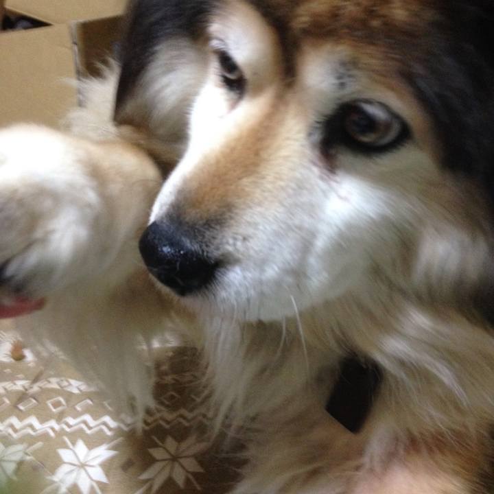 516f1d00 4470 4f6f bf1a 8d2b2bcc0884 1551937742480