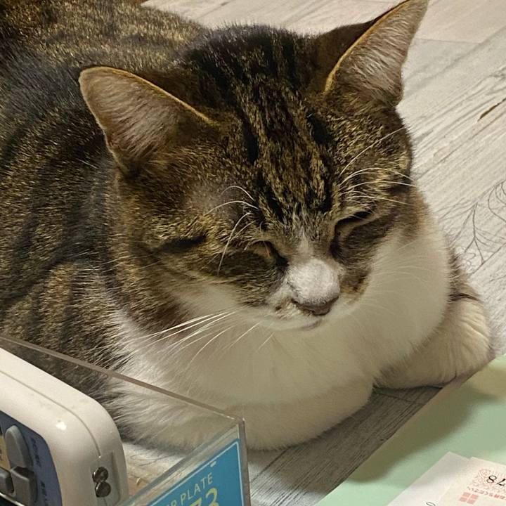 516f5cd1 c651 4941 a1d0 802cc6f37508 1673361708419