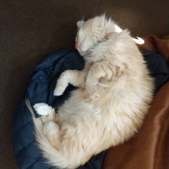 516f6663 317d 4749 8a4a ddc7f45a8a95 1646012990696