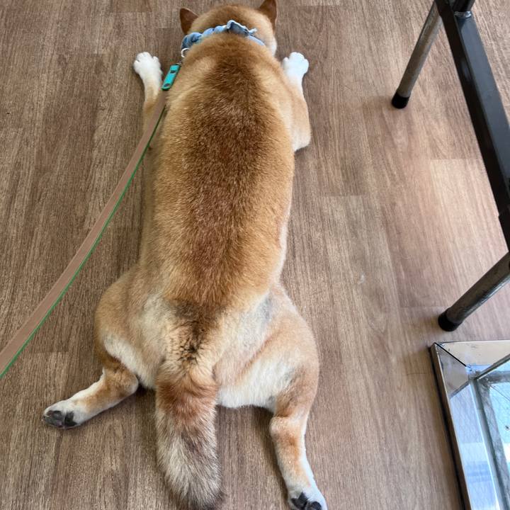 516f8406 55fc 47af a319 e5aca09ce48c 1719194098969