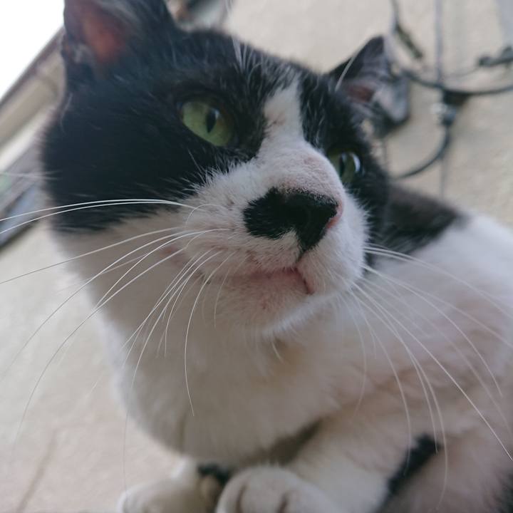 516fbd30 a710 4f80 9786 7c69623d8e91 1572153750078