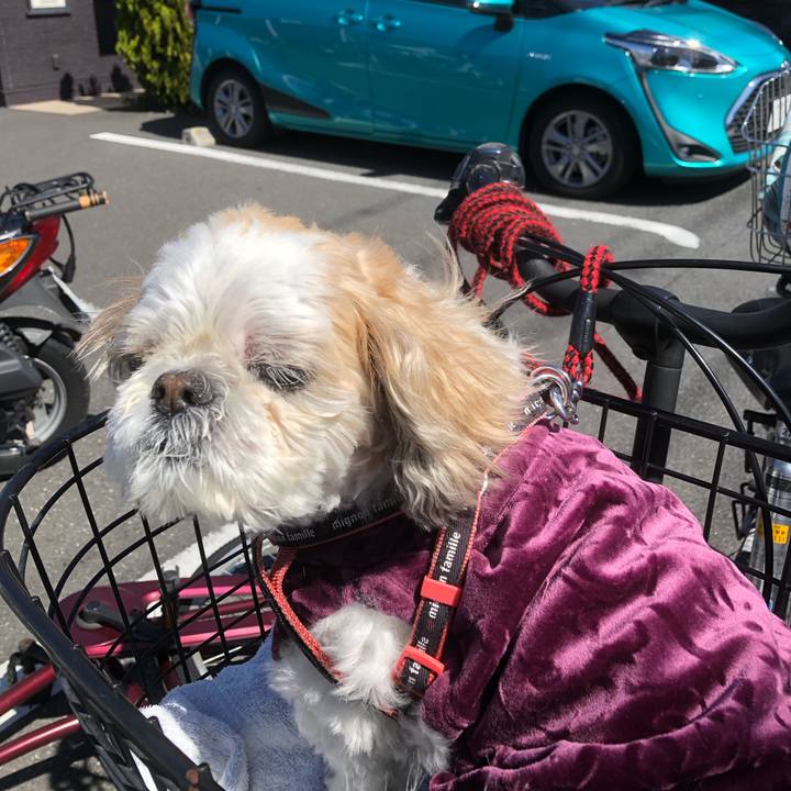 516ff2b8 b1ad 4366 9546 786741de3c91 1616190955494