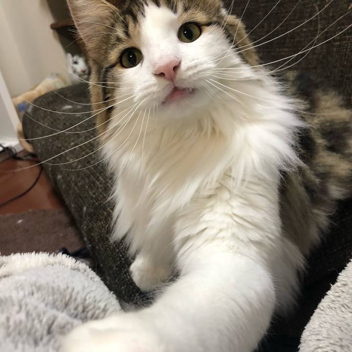 51701243 2b7e 4b67 b337 8e34a591f5fc 1545693476267