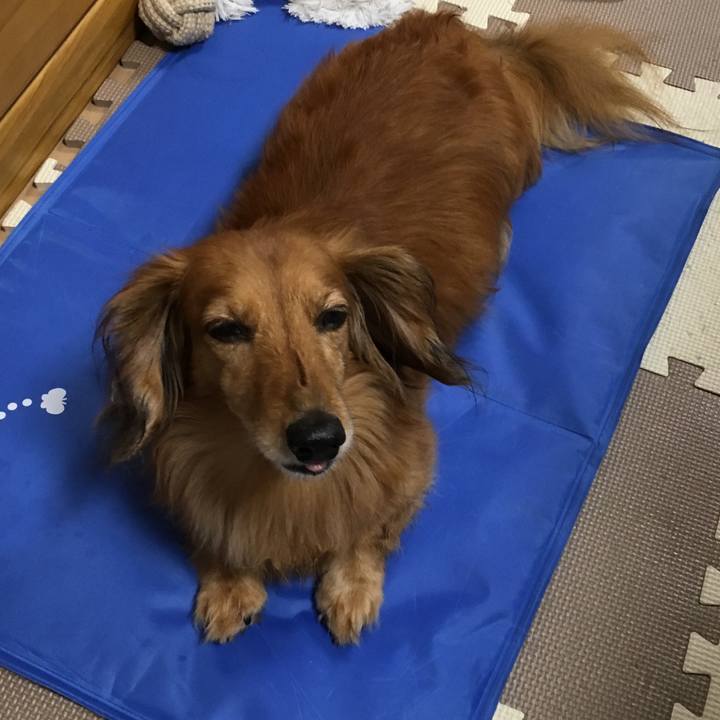 517029ea 4bce 407b b95b 0fb65bd81d3c 1563887720836