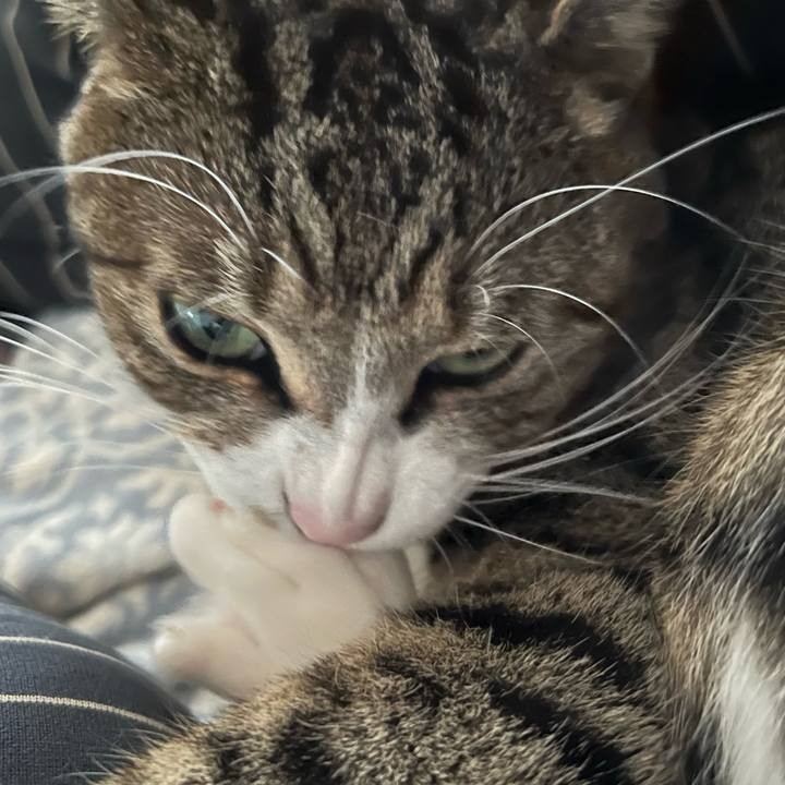 51702dd4 3f3a 4f93 b423 2c895b45926f 1737980168971