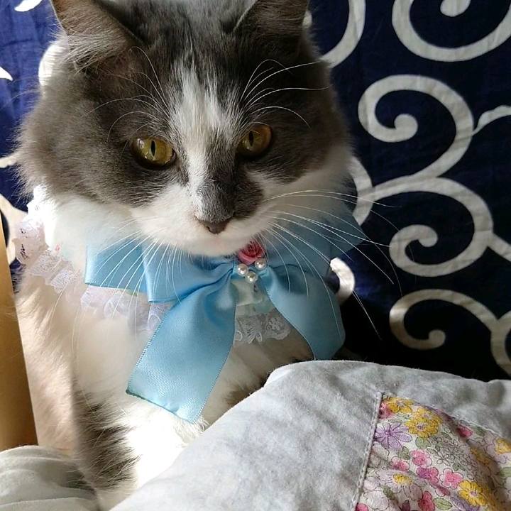 51704f49 a81f 4b3d b145 b1e9355e05ee 1582428951081