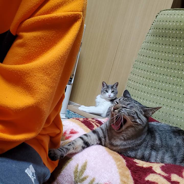 51705b8d 56cb 41ae ae8a e501a6696496 1712114302056