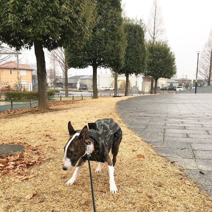 51705ed0 1f29 4c66 806d 6e0e7385ca5f 1516175155727