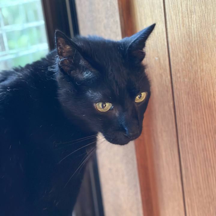 517080e7 f22a 4984 b4bb b30068a32941 1691887208684