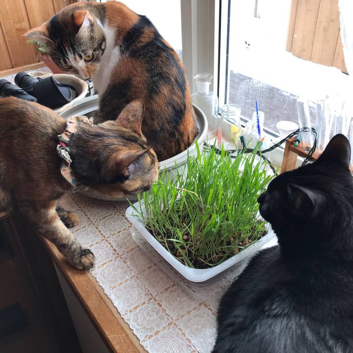 517086b5 7aa4 4048 bfd7 d2627f56fa93 1644105088063