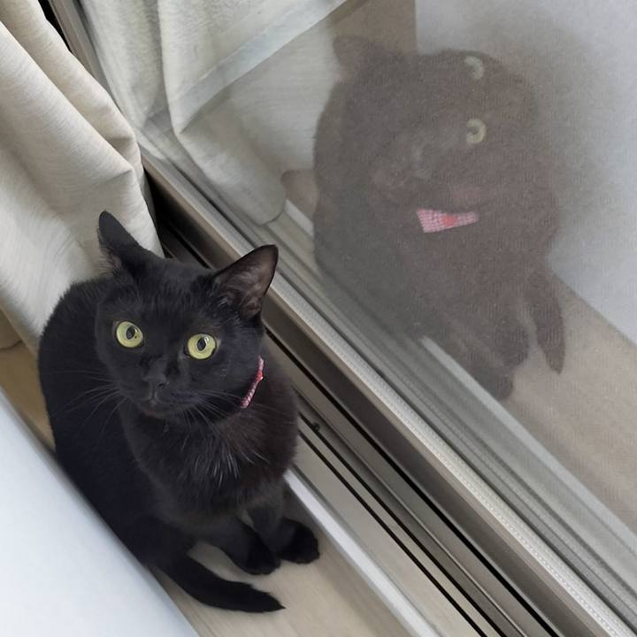 51709b6e 1189 4659 8545 6c3ebb435cd8 1692409111129