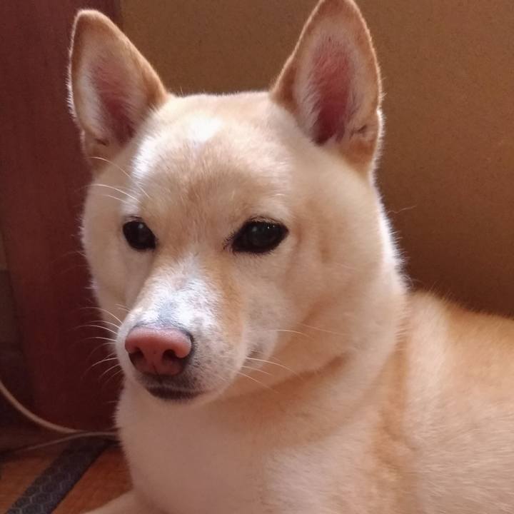 5170c8de df68 445b 96fb 40536d070bfa 1591573595019