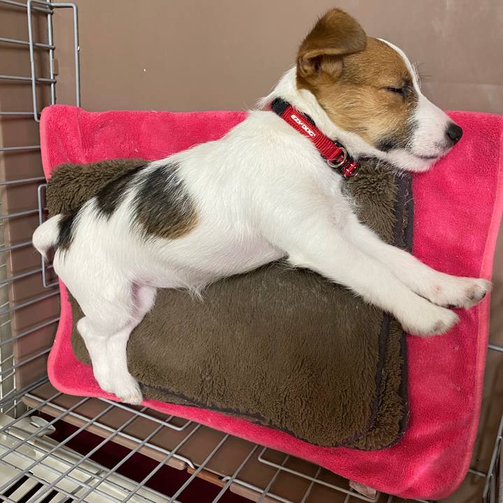 5170cd73 0146 4d12 a08d c4bd7af381c3 1613911412721