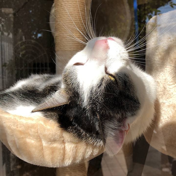 5170d16a ecaa 4612 b1cb fb7de3c4f8e4 1641719215630