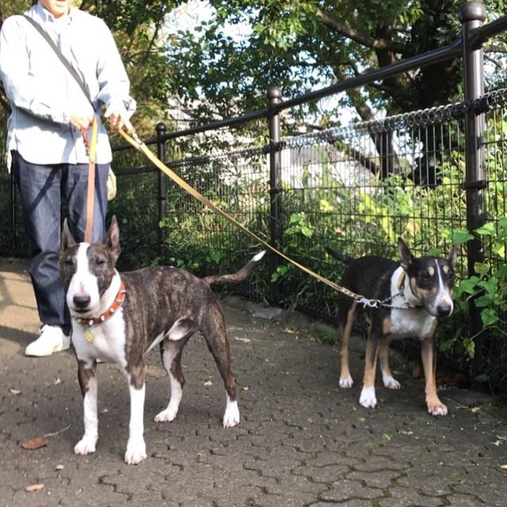 5170d54d e6eb 4d7b 994e 55c26570bd04 1509693326091