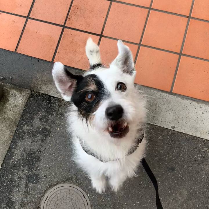 51712a57 d268 4c61 acee 86ed82781e7f 1721206122638