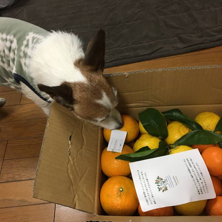 51713bfc a3c1 4728 85b2 40419e869c10 1645576378956