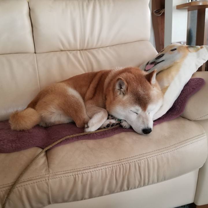 51714103 69c5 4c90 a950 bdda6db574b5 1716092807545