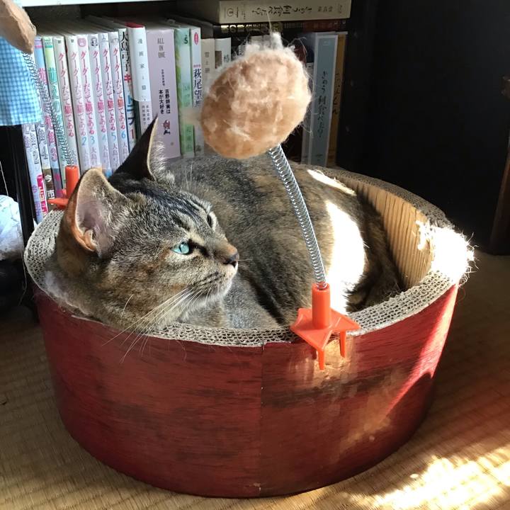 51715d16 cd7a 4299 8072 83ed855a522a 1657254524170