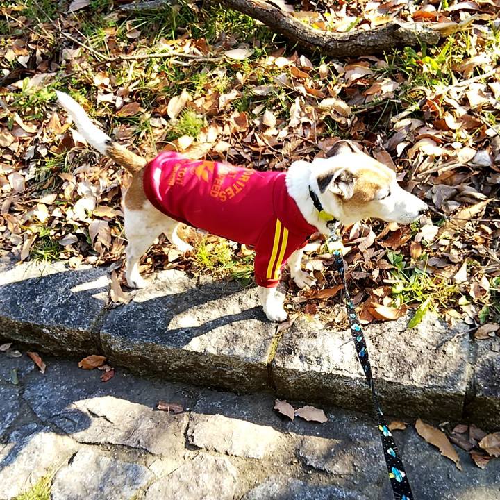 51716c20 1d34 41e6 a9a1 9604214eefb2 1547878707554