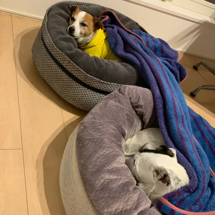 51717a6b ed27 43dc a5f9 29b1fa4605b0 1639227264253