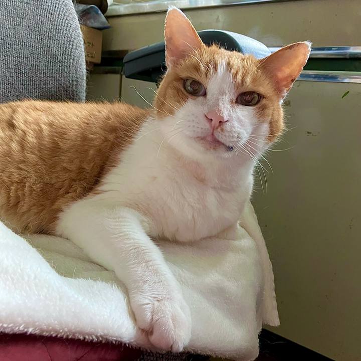 5172299e 9969 4c5f ba9c 7d26e47096a1 1727571347432