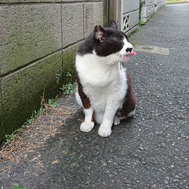 51722d6e 6997 417d ad00 a7284d20273d 1686732307853