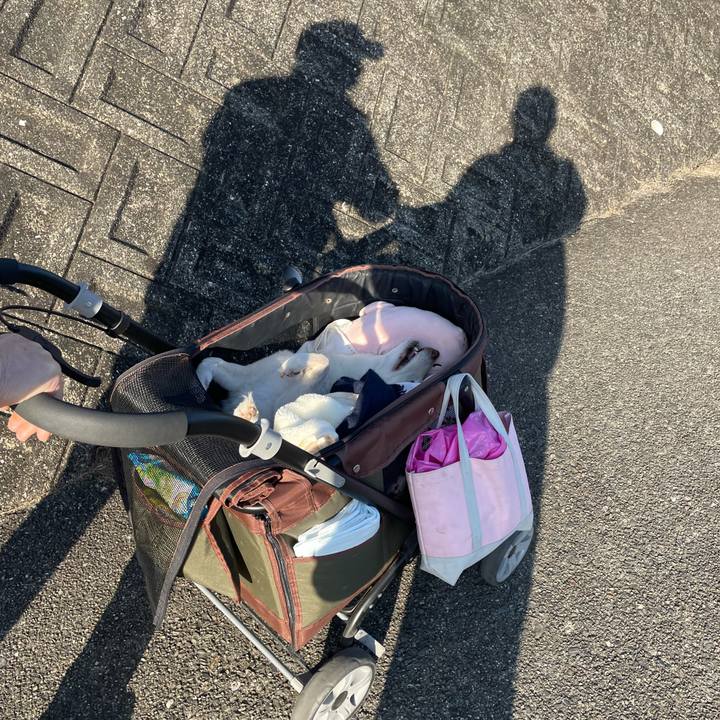 5172d6e4 9664 4e2d 939d 82dd2b106c22 1677581401528