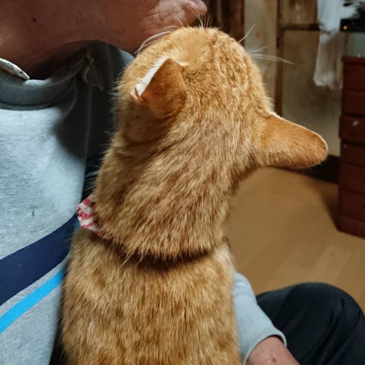 5172e092 e298 4be4 81d8 e51735ab765c 1604519209646