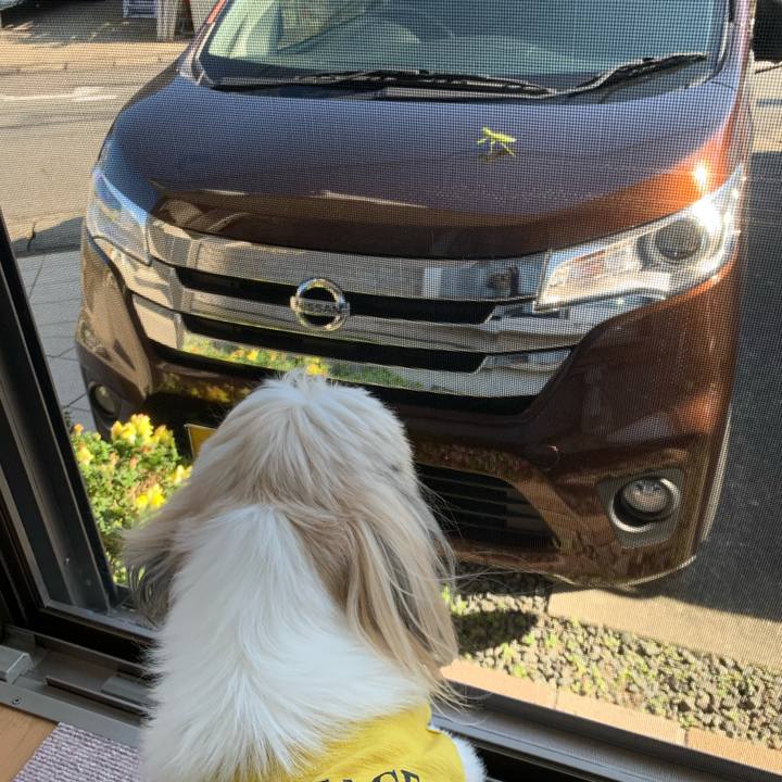 5172ff75 891a 4eaa 9a4e 8e370fd48f57 1573359409676