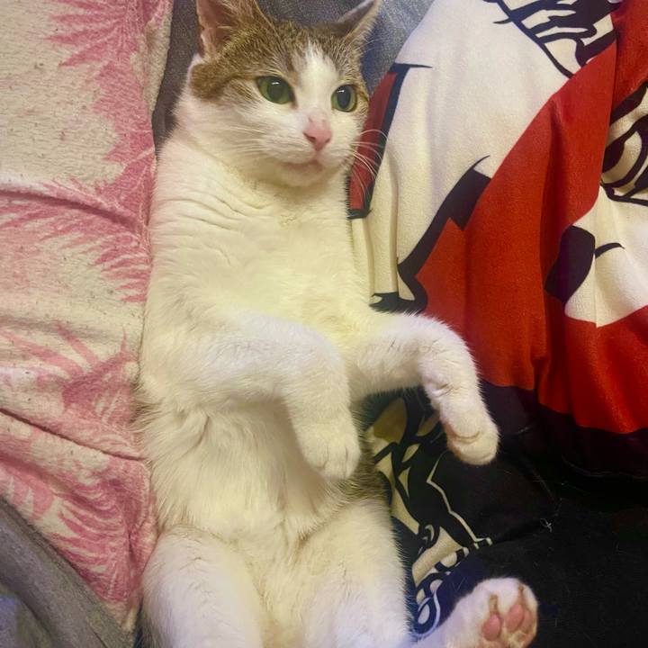 51732bb3 29d0 4d86 b0e2 819d8c3f64c3 1627827743684