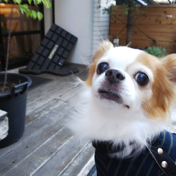 51733833 d976 4172 8975 35b713af8911 1538642410928