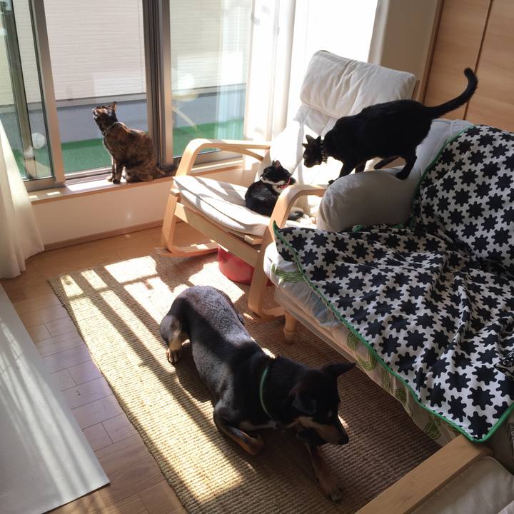 5173434c c086 4c51 94ba 1a8ec1880b63 1520041345625