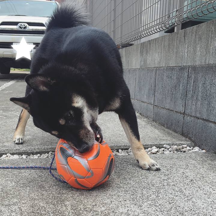 51735370 f5f7 4180 a94f 42861d148658 1523506113817