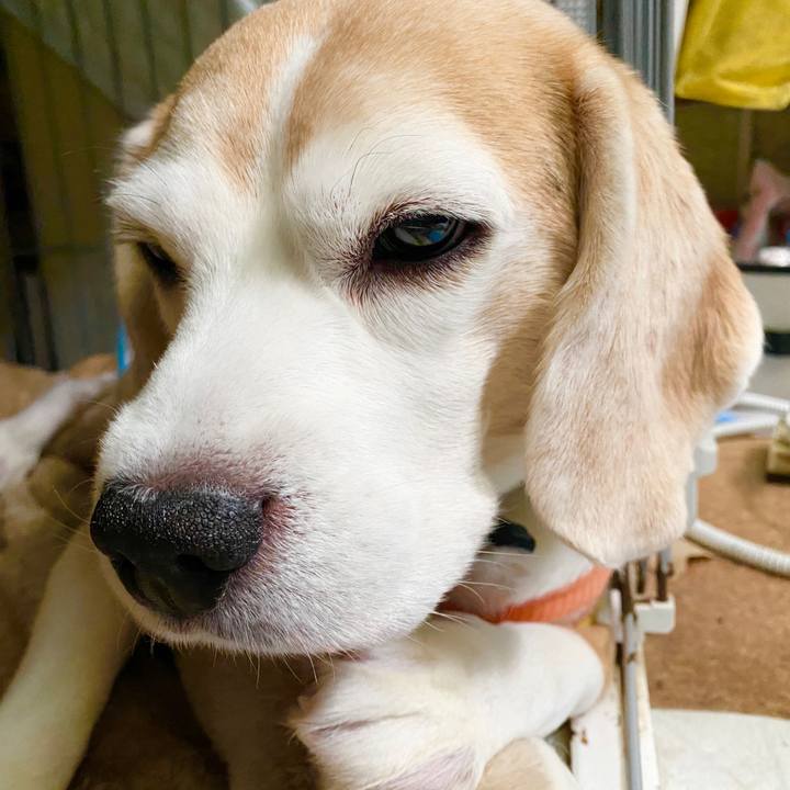 51735dd0 9865 403e 9a6c f68b6942ff38 1579841936871